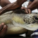 푸른바다 이미지