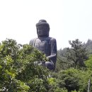 남미륵사 이미지