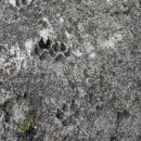 읍내12통(서문리) 이미지