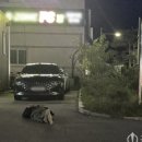 신사우파출소 이미지