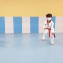 삼성태권도 이미지