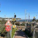 동해시-20 | [동해] 묵호 삼척 강릉 4박5일 애견동반 여행 (2)