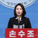 손수조 카카오 검색결과