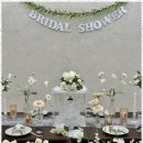 포레스트 스튜디오 이미지