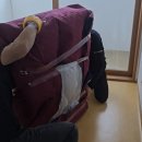 지방에서 제주, 제주에서 제주, 제주에서 서울까지! 세 번째도 제주트랜스를 선택한 이유 이미지