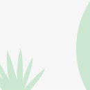 그린화장품 이미지