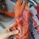 정심푸드 이미지