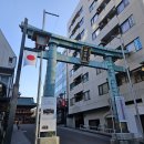 차이나88 | [플리로그] 덕질일기 88. 플레이브 일본콘서트 잠죽자 2박3일 후기(끝)