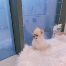 나리울동물병원 이미지