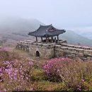 산상목장 | [합천 황매산 철쭉 산행 후기] 정상 주차장 최단코스, 철쭉 개화 시기, 인파 피하는 꿀팁까지 대공개