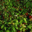 느티나무하우스 이미지