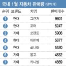 국내 1월 자동차 판매량 순위 TOP10... 쌍용 티볼리 순위권 밖으로 jpg 이미지