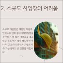 세이프컨설팅