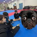 서영이 할머니네 | 잘될 거라고 믿는 편입니다, 근거는 없습니다만.