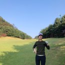 볼빅고양 이미지