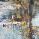 에스.리(S.LEE) 이미지