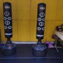 토마토 복싱클럽 이미지