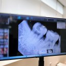 분당미켈란치과의원 이미지