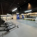 최강복싱 | 요즘 제일 핫한 스포츠 다이어트 최강 복싱/킥복싱 재밌게 운동하자!