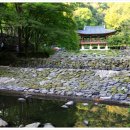 몽계폭포 백양사코스 이미지