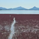 석모도바람길 이미지