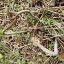 금당목장 이미지