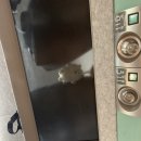 누렁이도 찰스로 | 꿈돌이 투어