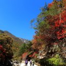 문경새재 이미지