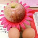 주말 공복 유산소 _ 아침에 사과 먹는중 ! (청송 꿀사과, 비봉농장)