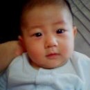컷트하다