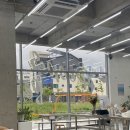 시즈닝 페퍼 이미지