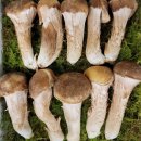 다울농장 이미지