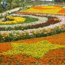 태안반도영농조합법인 이미지