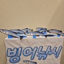서면애견미용 맘바이 강아지 미용실 이미지