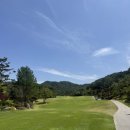 그린에버 이미지