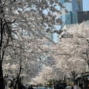 렌즈미상수카페거리점 이미지