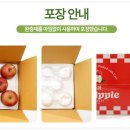 홍로