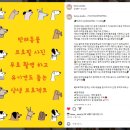 잇츠미 스튜디오ㅣ서울 송파 반려동물 프로필 잇츠미 스튜디오에서 아리 공주님 강아지 증명사진 찍었어요