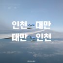 이스타코리아 | 인천 공항 대만 타오위안 공항 항공권 아고다 예약 이스타항공 스쿠트항공 이지카드 후기 체크인
