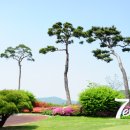 제이레저 (주) 네이버블로그
