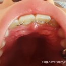 슈어치과교정과치과병원 이미지