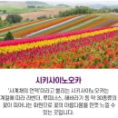 꽃길플라워 - 고양시 일산서구 킨텍스로 255 | 꽃길플라워