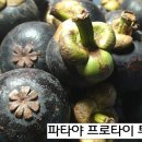 [태국과일] 환상의 맛 "망고스틴 Mangosteen" 이미지