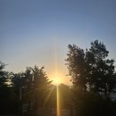꽃손톱 | 대전근교 가볼만한곳 계룡산국립공원 갑사계곡 산책 봉숭아꽃과 무안 언니 소식 저장