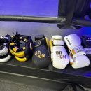 용인대SM복싱클럽 장기점 이미지