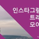 에듀트래픽