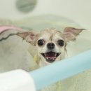 어니얼리 이미지