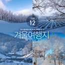 국내 겨울여행지 추천 대관령 양떼목장 등 7곳