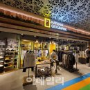 내셔널파트너스 이미지