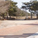 미단시티8호 근린공원 이미지